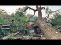 Storm Logging! Dangerous Tree Removal in Heavy Rain &amp; Night Shifts!