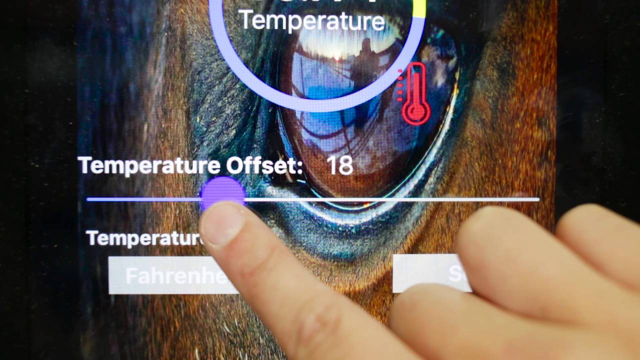 Part 4 Howto Take Your Horses Temperature YouTube