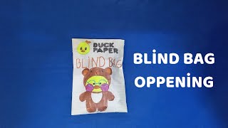 PAPER DUCK || BLIND BAGS SURPRISE homemade || LALAFANFAN DUCK || @PaperDiy975