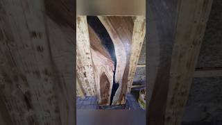 Walnut Black Epoxy Table.