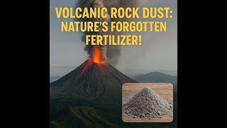 🌋 Debu Batuan Vulkanik: Pupuk Alami yang Terlupakan!