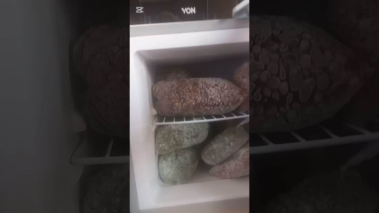 My monthly fridge restock😎😊