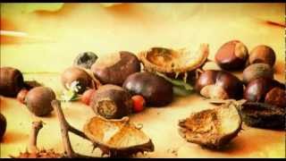 Rodzinne Domy Dziecka