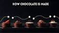 The Intriguing History of Chocolate: From Mesoamerica to Modern Delicacy ile ilgili video