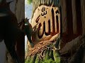 subah savere uth ke#Short Mein Teri Padho namaj #islamicstatus t #unfrezzmyaccount
