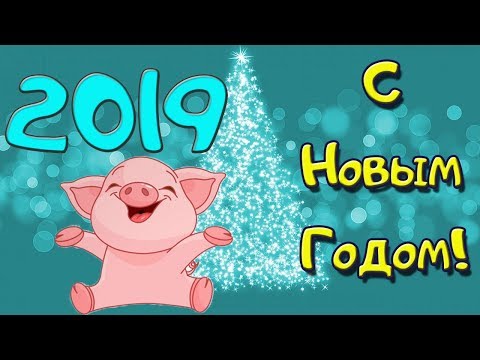 С Наступающим НОВЫМ 2019 годом! песенка про новый год свинки!