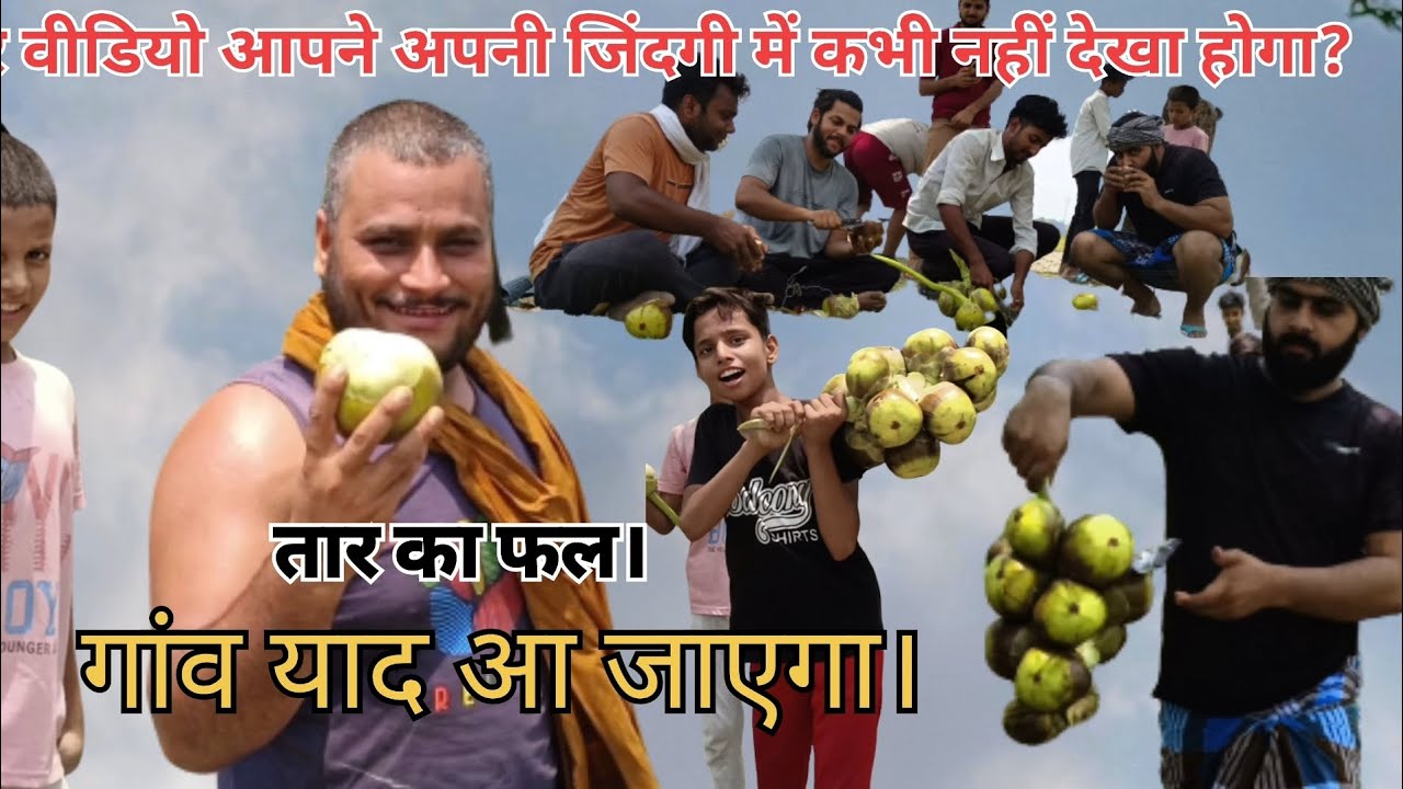 tar-ka-fal-village-vlog-my-first-vlog-myfirstvlog-youtube
