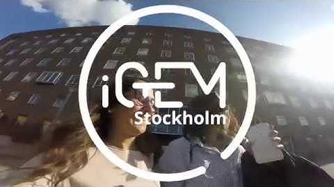 A day of Human Practices, by Amanda Pellnäs