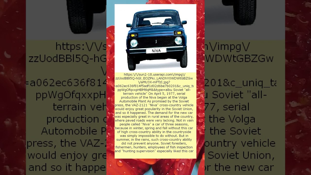 Unbelievable Soviet All Terrain Vehicle Loved by Foresters, Fishermen, and Hunters