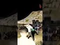 أعراس تازة مع بشار الكرسيفي ركادة