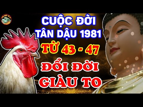Video Tử Vi Trọn Đời Tuổi Tân Dậu 1981, Từ 43 - 47 Tuổi, Vận... - youtube