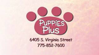 PUPPIES PLUS 2X10