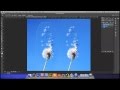 Spostare il contenuto di un'immagine in Photoshop CS6