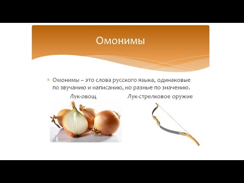 Омонимы, синонимы, антонимы. Русский язык 2 класс.  Система Эльконина-Давыдова