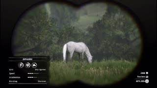Few  Spotted  Appaloosa Location. RDR2 Found in early Chapter 3.