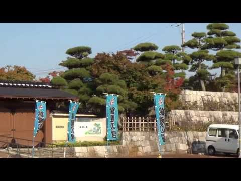 Video: Polytechnické Muzeum Rekonstruuje Japonský Architekt