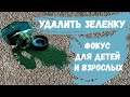 Домашний фокус: Как удалить пятно от зеленки?