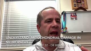 Understand - Mitochondrial Damage in Neuropathy