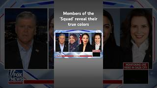 Hannity: The ‘despicable’ socialists in the Democratic Party are back #shorts