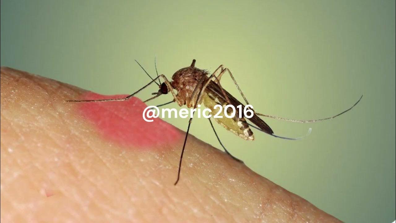 Épinglé sur Belleza