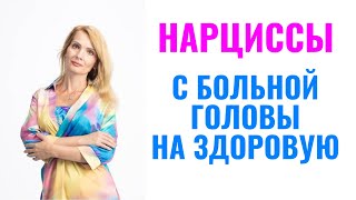 Как нарциссы вам перебрасывают свою боль