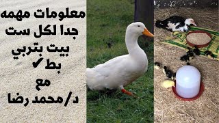 تربيه البط من اليوم الاولالي الدبح? مع د/محمد رضا