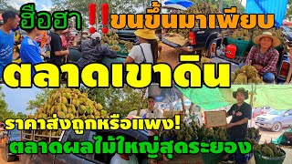 ทุเรียนราคาส่งตลาดเขาดิน|ชาวสวนนำขึ้นมาขาย