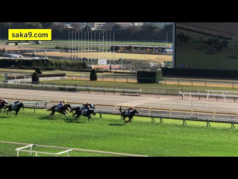 【現地】デュガ 2歳1勝C 武豊×藤田晋ｵｰﾅｰ