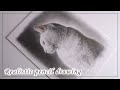 【鉛筆デッサン】猫のリアルな描き方「鉛筆、水彩で少し色付け」