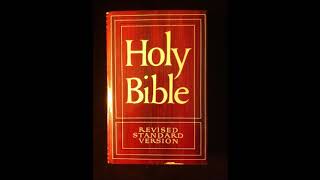 Audio Books Revised Standard Version -  06 Romans screenshot 4