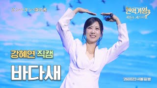 [4K직캠] 바다새 - 강혜연 focus. ( with, 김태연&솔지 ) | 260823 현역가왕3 패밀리 페스티벌 2일차 일요일 낮공