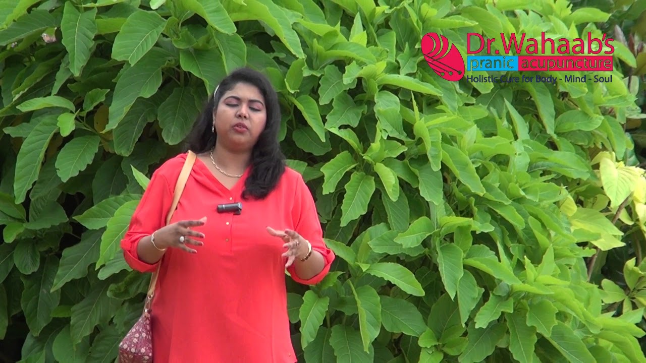 CONVENTIONAL MEDICINE 