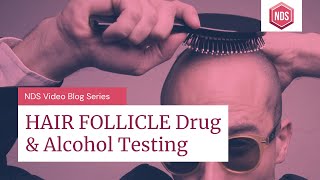 Hair Follicle Drug Test (For Trucking, Employment, Courtordered and More)