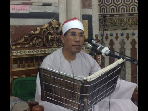 الطاروطى النمل شوبر طنطا 7 1 2014 