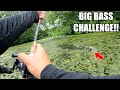 INTENSE 1V1 Topwater Fishing Challenge!!! (LOSER EATS LIVE CICADA)