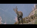 Walking a Tightrope Between Mountains