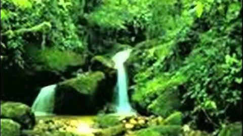 الشيخ علي جريد سورة هود.flv