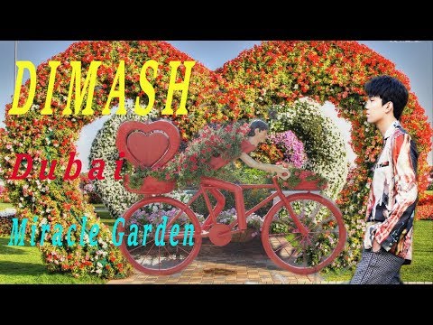 DIMASH./Dubai. Miracle Garden/