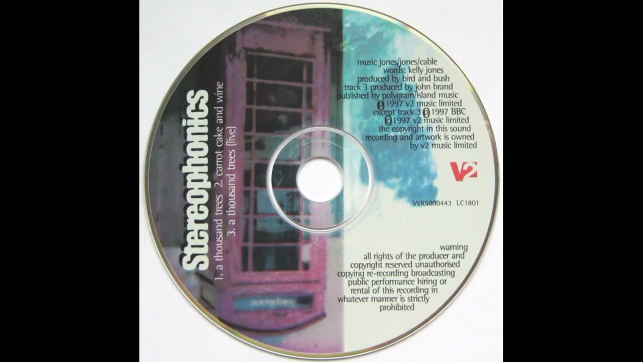 Stereophonics: A Thousand Trees - YouTube