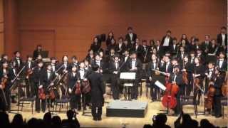 Brahms: Hungarian Dance No. 5: Seoul Combined Teachers & Student Orchestra