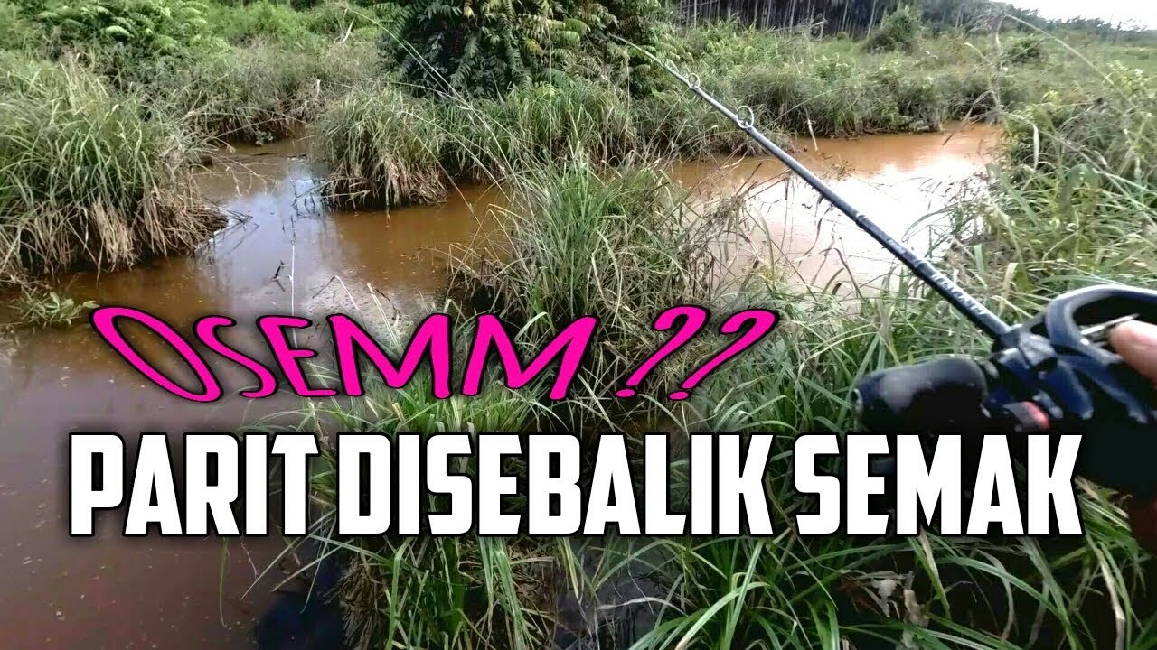 Spot HaruanTersembunyi Di Sebalik Semak