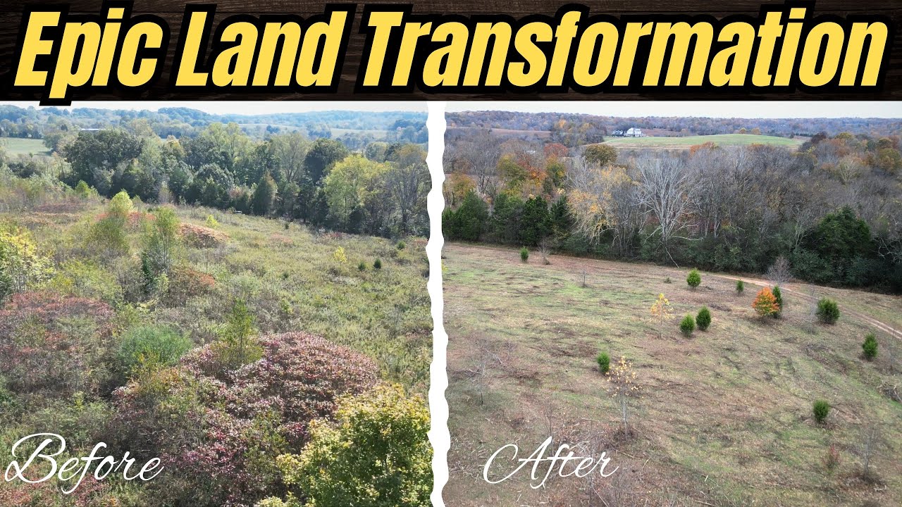 Преображение заброшенной фермы с помощью кустореза Bobcat | Фотографии «до» и «после»