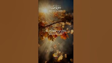 وَمَنْ أَعْرَضَ عَن ذِكْرِي فَإِنَّ لَهُ مَعِيشَةً ... يتألق بالمقام العراقى القارئ هيثم الدخين