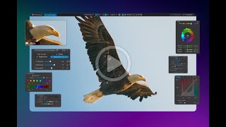 The Noise Reduction with DxO PhotoLab 9 screenshot 5