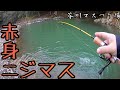 【大阪】赤身トラウトを狙え！芥川マスつり場でニジマス・イワナ釣り【2020年エリアトラウト 電車釣行】