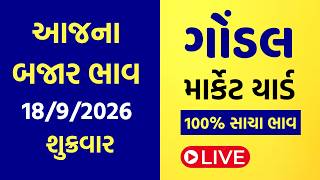 18 - 9 - 2026 Gondal Marketyard Bajar Bhav Aajna Bajar Bhav Rajkot Market Yard Bajar Bhav Gujrati