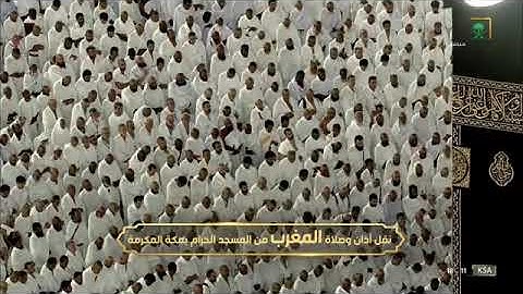 سورة الأنفطار لـ فضيلة الشيخ #فيصل_غزاوي من صلاة المغرب ١٥ ربيع الأول ١٤٤٤هـ