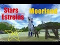 All stars in Moorland / Todas estrelas de Moorland - Star Stable Online