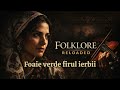 Foaie verde firul ierbii – Muzică Lăutărească Veche | Romanian Traditional Music