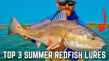 The Only 3 Lures You Need To Catch Redfish In The Summer